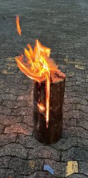 Berichte Veranstaltungen