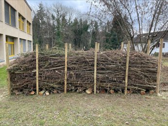 Berichte Veranstaltungen